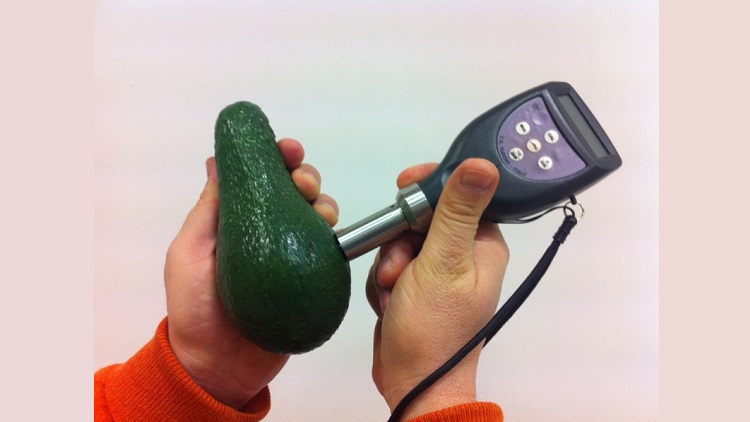 avocado meter.jpg